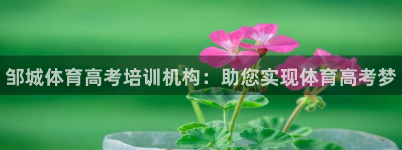 尊龙凯时人生就是博·(中国)官网最新：邹城体育高考培