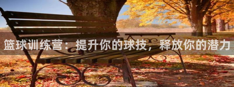 尊龙官网手机版下载：篮球训练营：提升你的球技，释放你