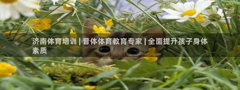 尊龙旗舰厅app：济南体育培训 | 普体体育教育专家