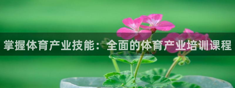 凯时k66官网登录：掌握体育产业技能：全面的体育产业