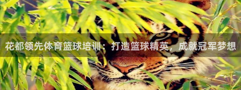 尊龙ag旗舰厅登陆：花都领先体育篮球培训：打造篮球精