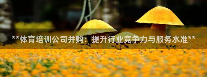 尊龙网址是选访问zd207：**体育培训公司并购：提