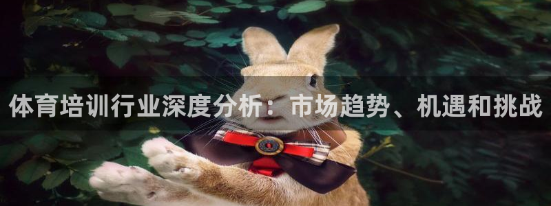 凯时平台官网RA来就送38：体育培训行业深度分析：市