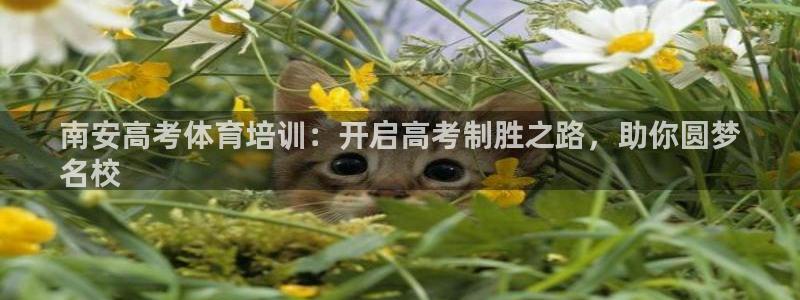 尊龙凯时美金能提取吗：南安高考体育培训：开启高考制胜