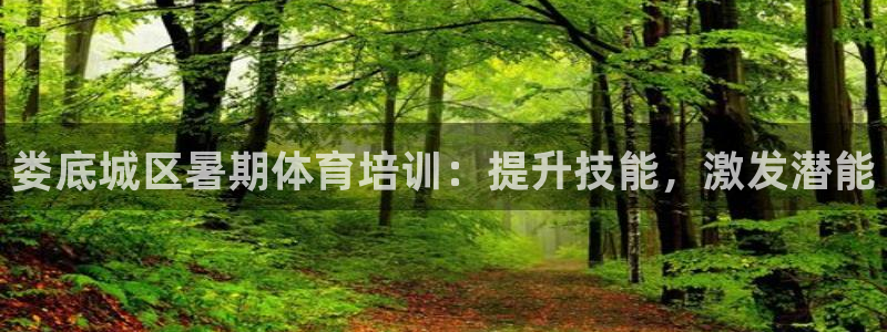 尊龙凯时提现不了：娄底城区暑期体育培训：提升技能，激