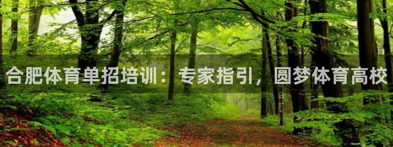 凯时旗舰厅App下载：合肥体育单招培训：专家指引，圆