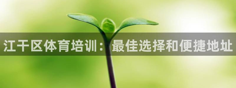 尊龙手机端下载
