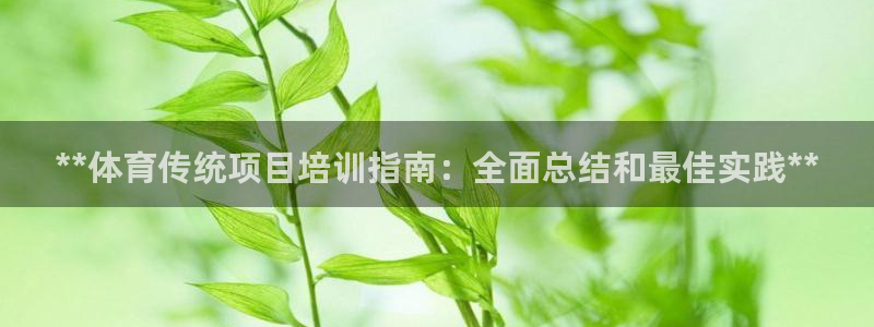 尊龙官网地址：**体育传统项目培训指南：全面总结和最