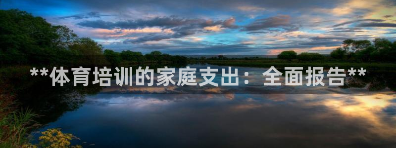 尊龙实业有限公司：**体育培训的家庭支出：全面报告*