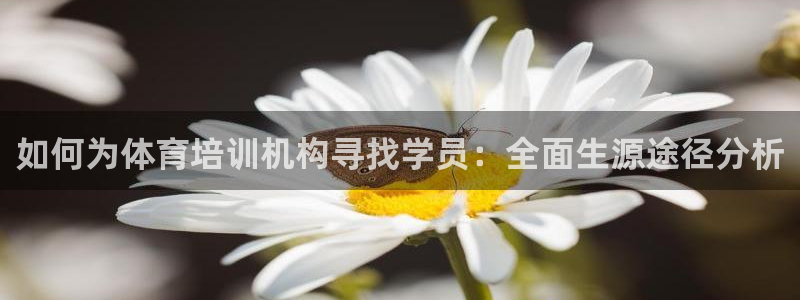 尊龙d88官网新版：如何为体育培训机构寻找学员：全面