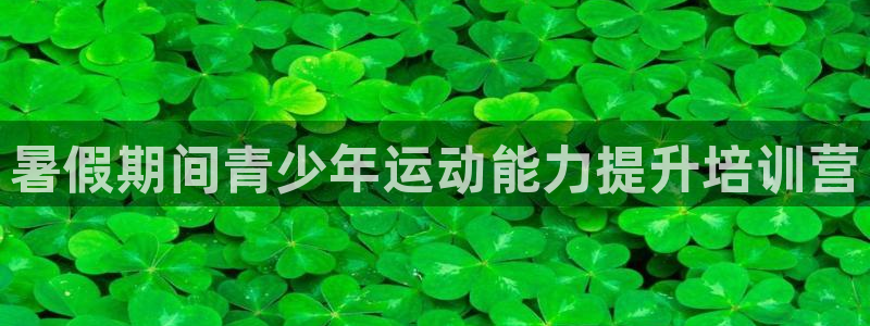 尊龙凯时能做退米么：暑假期间青少年运动能力提升培训营