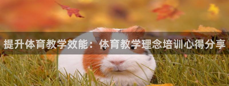 尊龙凯时公司官网：提升体育教学效能：体育教学理念培训