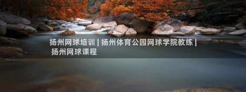 尊龙凯时人生就是搏平台：扬州网球培训 | 扬州体育公