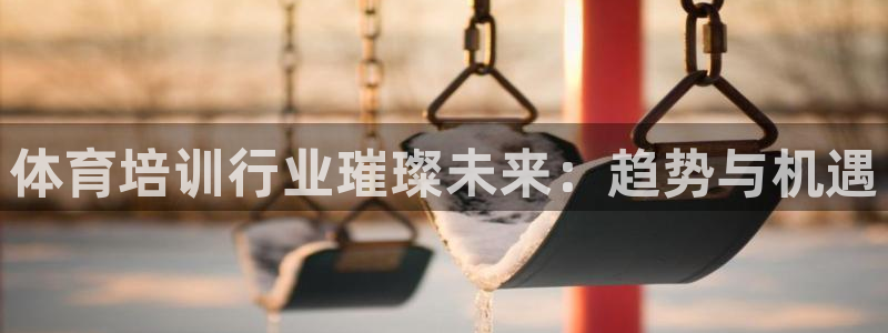 Z6尊龙官网入口：体育培训行业璀璨未来：趋势与机遇