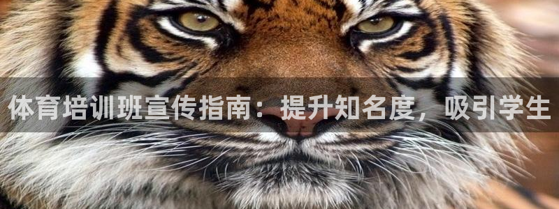 尊龙目前情况：体育培训班宣传指南：提升知名度，吸引学