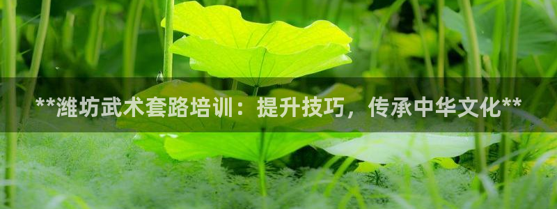 凯时ag旗舰厅：**潍坊武术套路培训：提升技巧，传承