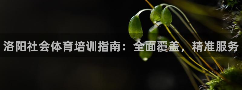 尊龙凯时 - 人生就是搏有假吗：洛阳社会体育培训指南