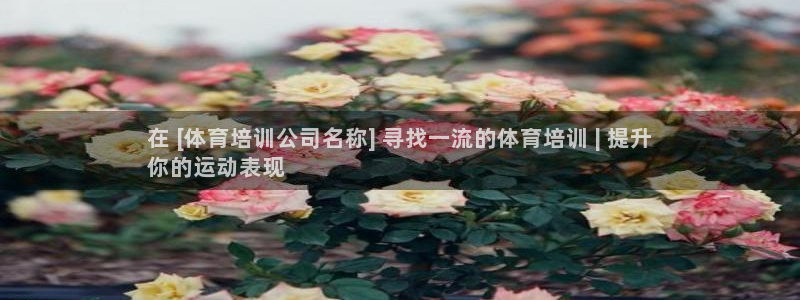 尊龙人生就是博i可靠吗：在 [体育培训公司名称] 寻