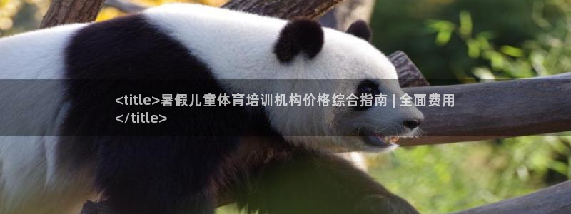 尊龙网址是选访问zd207：<title>暑假儿童体