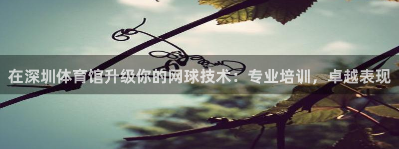 尊龙凯时人生就是博游戏网站：在深圳体育馆升级你的网球