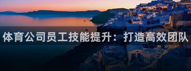 尊龙z6官网：体育公司员工技能提升：打造高效团队