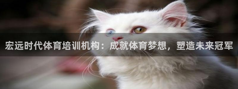 尊龙凯时一人生就是博登入：宏远时代体育培训机构：成就