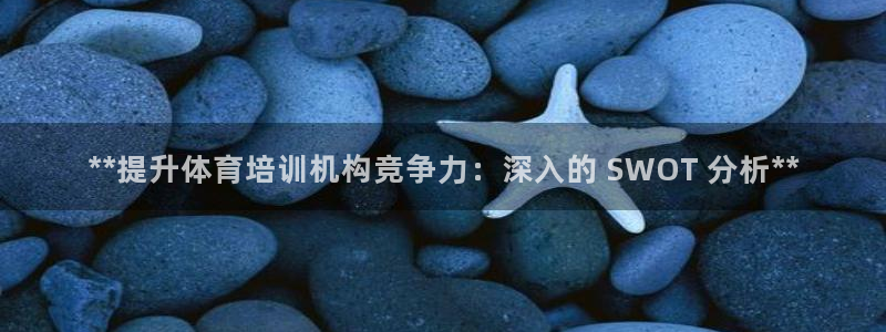 z6尊龙官网：**提升体育培训机构竞争力：深入的 S