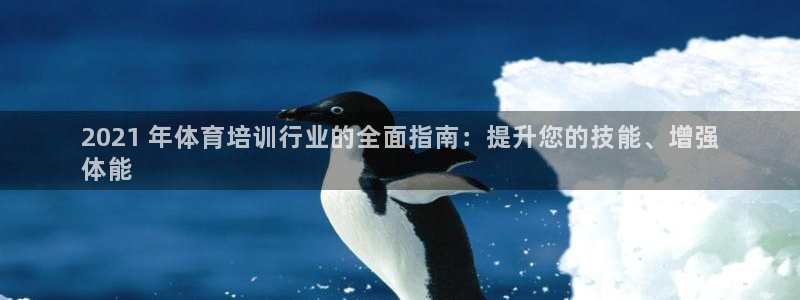 尊龙网址是多少：2021 年体育培训行业的全面指南：