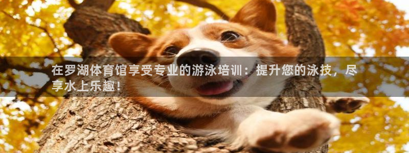 z6尊龙官方网站：在罗湖体育馆享受专业的游泳培训：提