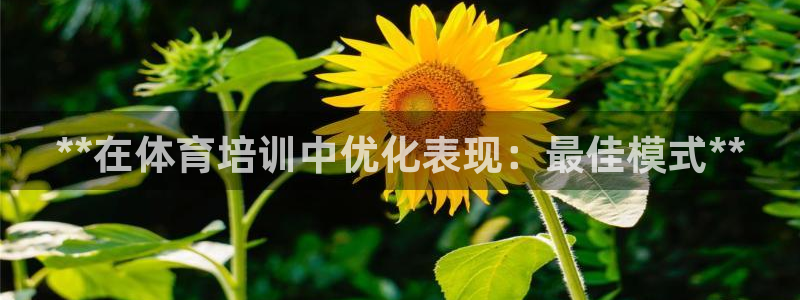 尊龙D88现金旧版：**在体育培训中优化表现：最佳模