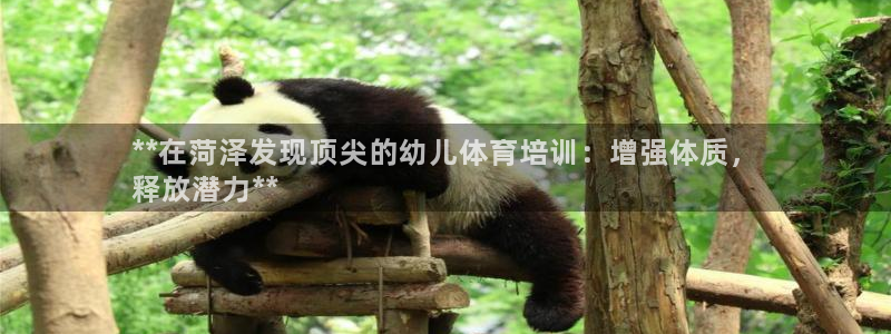 尊龙凯时一人生就是博登入：**在菏泽发现顶尖的幼儿体