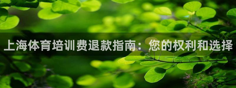 尊龙凯时客服：上海体育培训费退款指南：您的权利和选择
