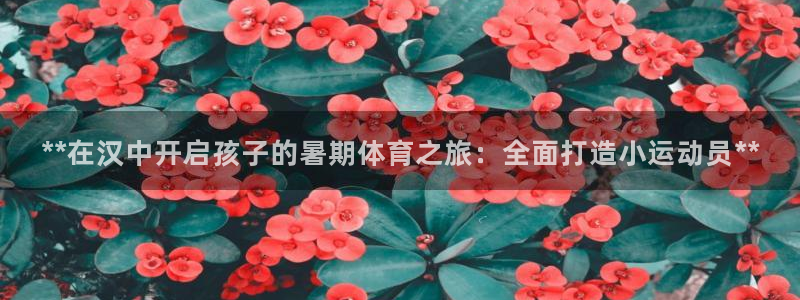 尊龙官方网址：**在汉中开启孩子的暑期体育之旅：全面