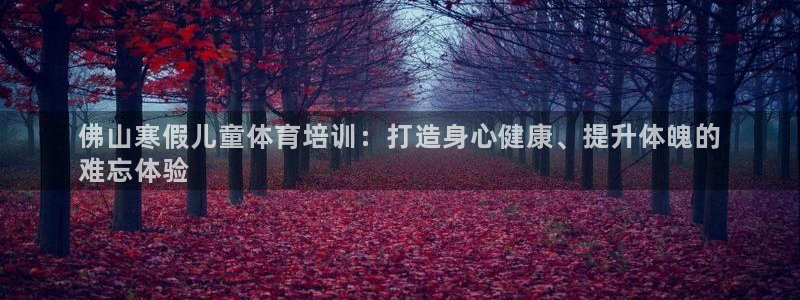 尊龙一人生就是搏：佛山寒假儿童体育培训：打造身心健康