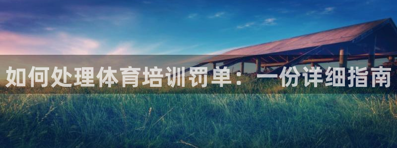 尊龙会ktv价格：如何处理体育培训罚单：一份详细指南