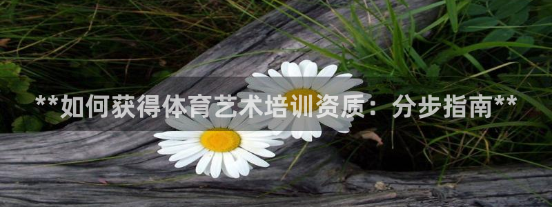 尊龙凯时返现：**如何获得体育艺术培训资质：分步指南