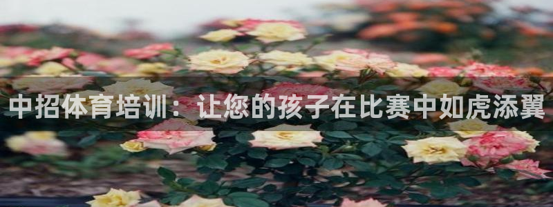 尊龙d88官网登录：中招体育培训：让您的孩子在比赛中