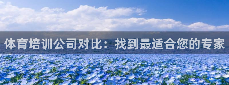 尊龙游戏中心：体育培训公司对比：找到最适合您的专家