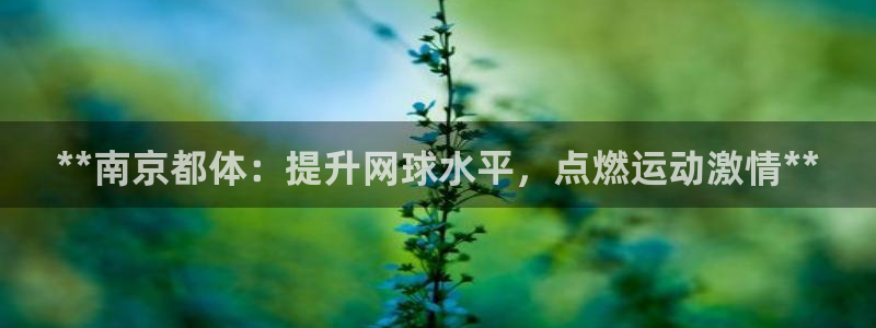 尊龙凯时ag旗舰厅官：**南京都体：提升网球水平，点