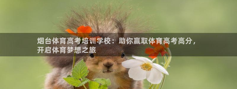 尊龙官方网址：烟台体育高考培训学校：助你赢取体育高考