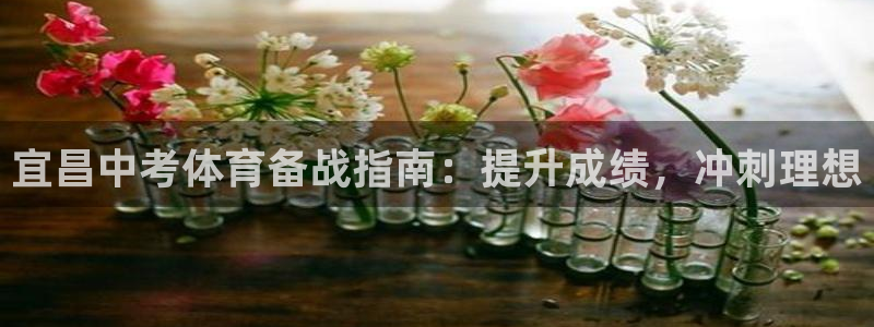 尊龙凯时logo：宜昌中考体育备战指南：提升成绩，冲