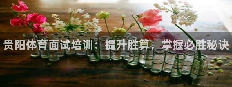 尊龙凯时平台怎么样：贵阳体育面试培训：提升胜算，掌握