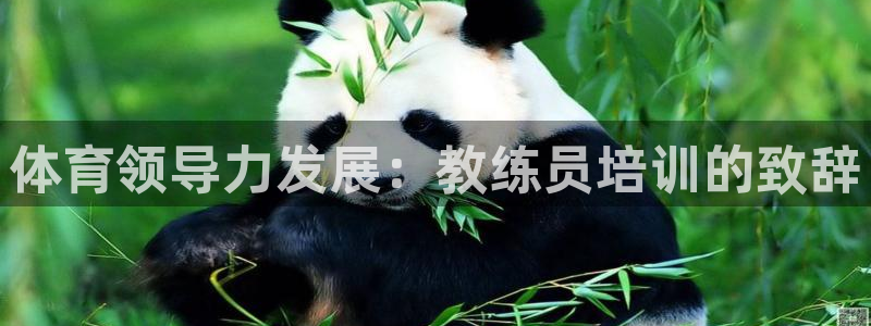 尊龙app|首选agdaohang：体育领导力发展：