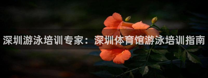 尊龙体育怎么样：深圳游泳培训专家：深圳体育馆游泳培训