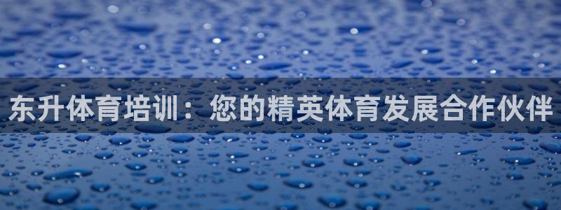 尊龙ag旗舰厅官网官方入口：东升体育培训：您的精英体