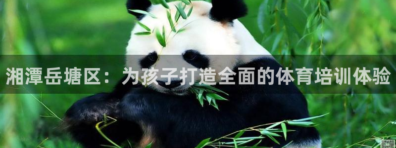 尊龙新版app首页：湘潭岳塘区：为孩子打造全面的体育