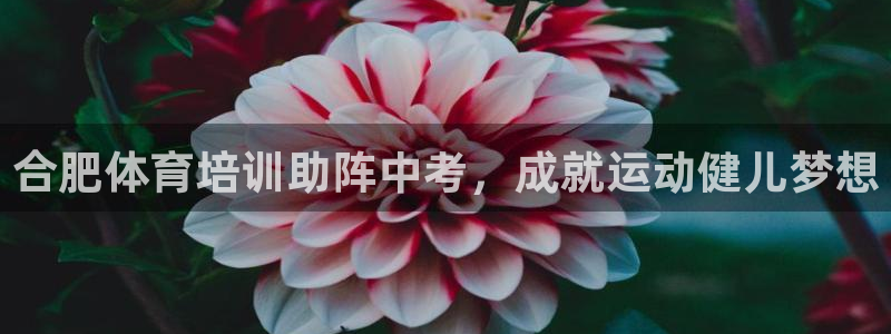 凯时登录首页,凯时K66：合肥体育培训助阵中考，成就