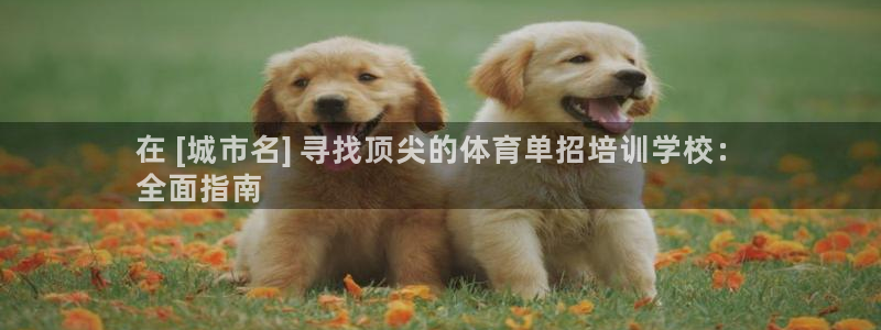尊龙AG旗舰厅APP：在 [城市名] 寻找顶尖的体育