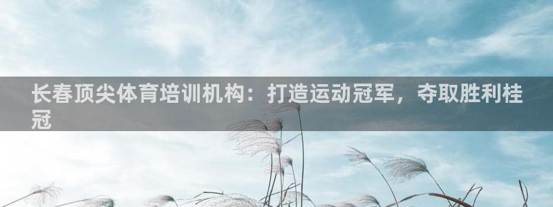 尊龙凯时网娱乐最新版：长春顶尖体育培训机构：打造运动