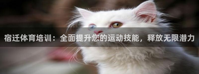 尊龙会ktv价格：宿迁体育培训：全面提升您的运动技能
